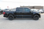 2025 Ford F-150 STX LOBO