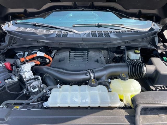 2023 Ford F-150 Limited